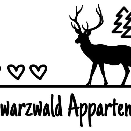 Schwarzwald Appartement Steinen  Esterno foto