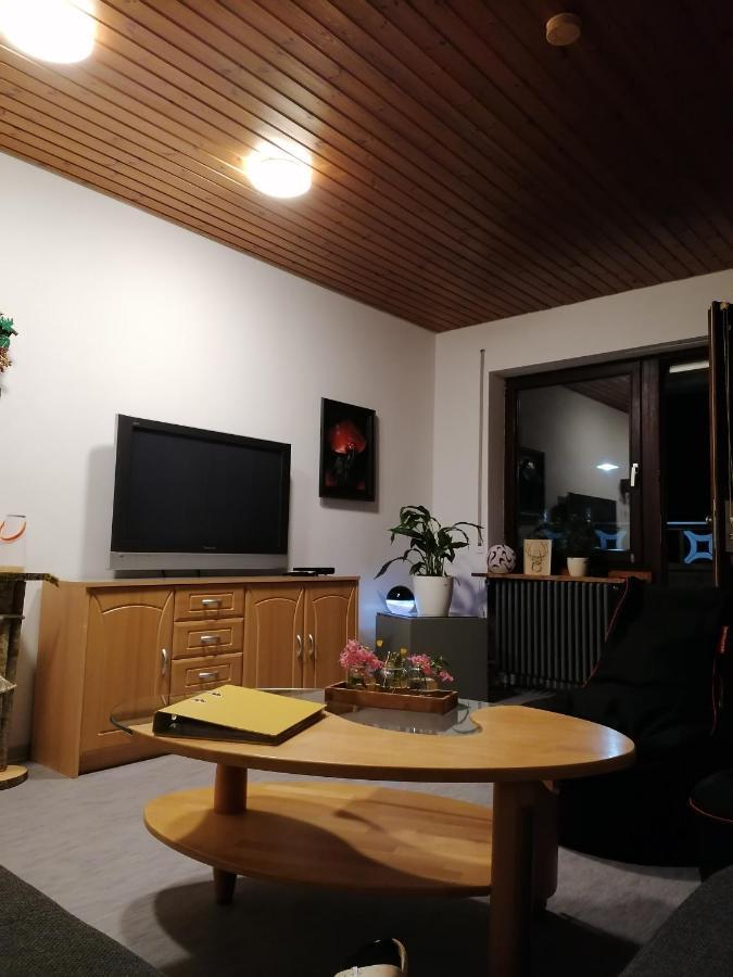 Schwarzwald Appartement Steinen  Esterno foto